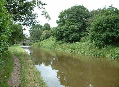 The view from the Peg 8 towards Bridge 67