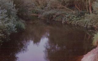 Looking upstream at peg 7